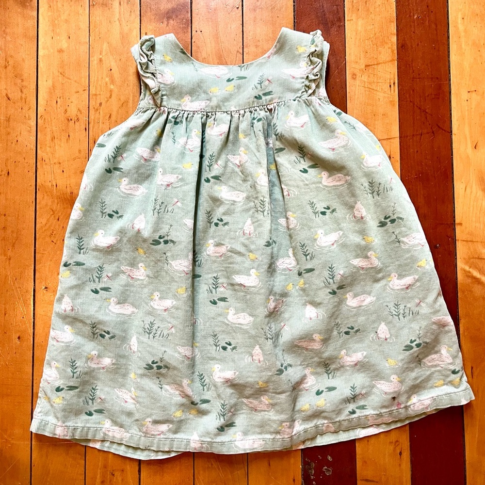 Baby Boden Mint Green Duck-Print Dress